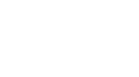 Logo displaying the word "fluvitus" in a stylized, cursive font on a blank background.