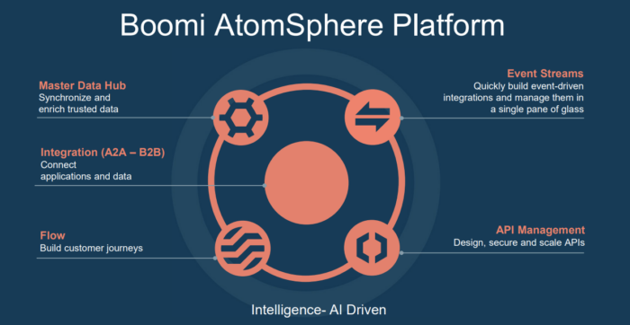 Boomi AtomSphere Platform